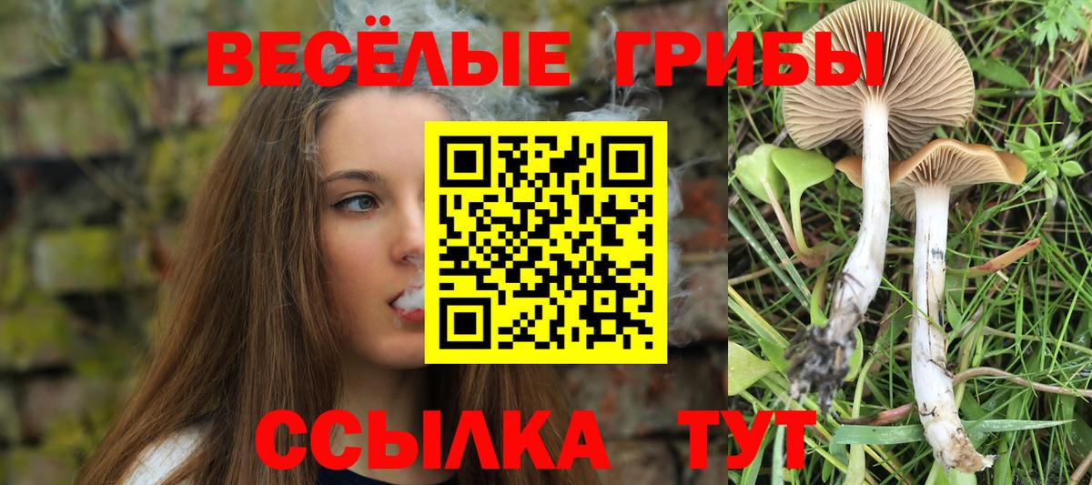 Галлюциногенные грибы Psilocybine cubensis  Псилоцибиновые грибы GOLDEN TEACHER  Борзя  Вход с VPN 